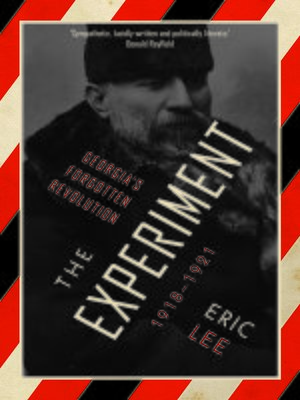 cover image of The Experiment